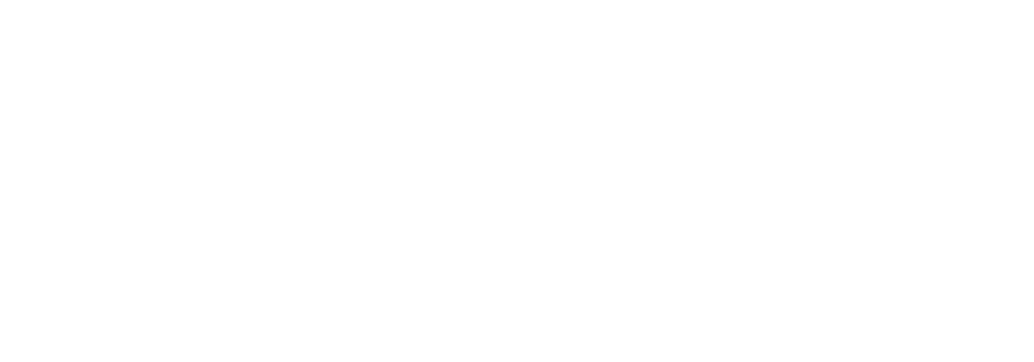 Linfopress Evolution Pro
